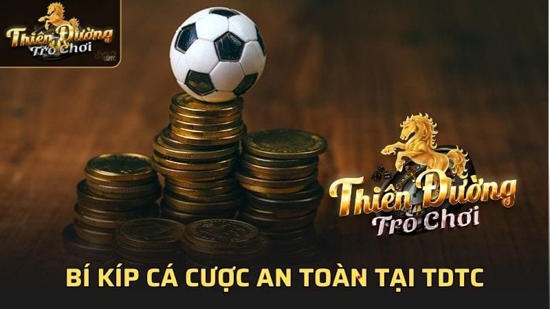 Bí kíp cá cược an toàn tại TDTC