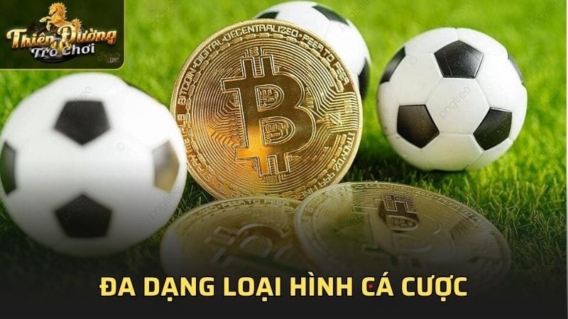 Đa dạng loại hình cá cược