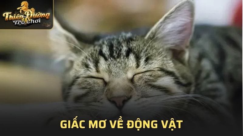 Giấc mơ về động vật