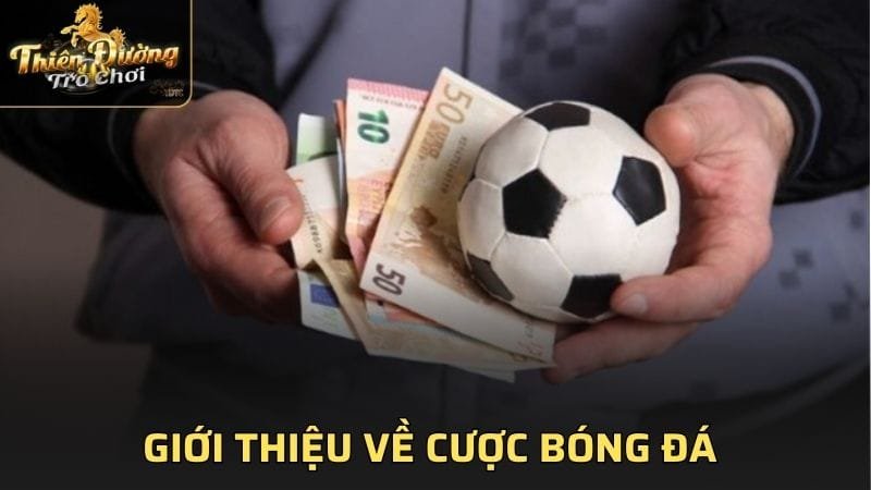 Giới thiệu về cược bóng đá 