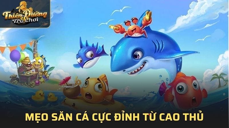 Mẹo săn cá cực đỉnh từ cao thủ