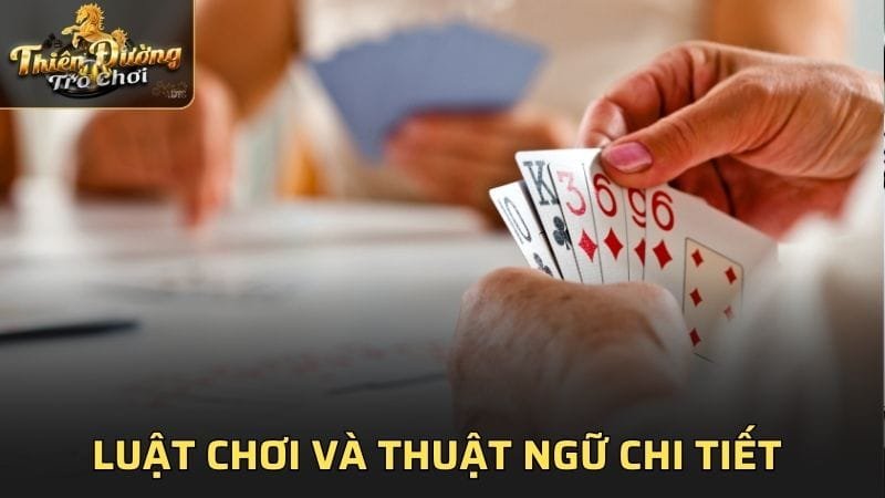 Luật chơi và thuật ngữ chi tiết của game Phỏm 